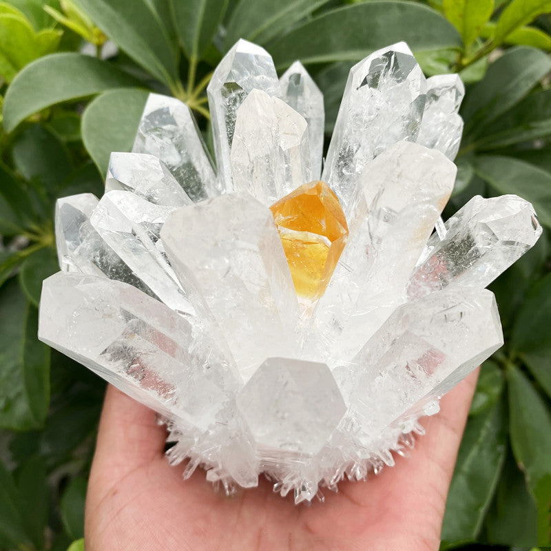 Clear Quartz: The 'King of Crystals' with Powerful Metaphysical Energies for Purification, Fortune, Spirituality & Protection
